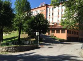 Hotel Pineta，位于皮耶韦佩拉戈的酒店