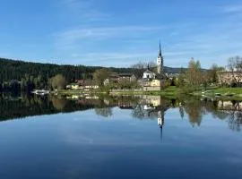 Forest Wellness & Spa Apartments Lipno - Frymburk