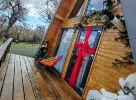 Carpatina A-Frame Retreat - Rustic Cabins for Couples