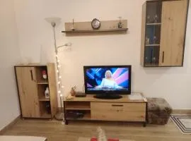 Apartman DUDA Surčin