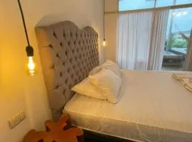 Kiwi Sunset Montañita