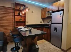 Loft moderno y acogedor