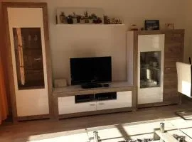 Wohnung am Stadtrand von Graz