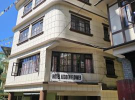 OS Hotel Hidden Flower，位于甘托克的酒店