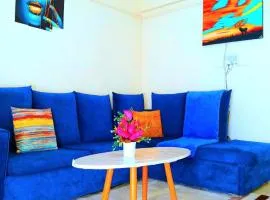 Ladine Homestay - Ferrum Apartment