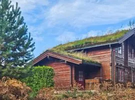 Nice Home In Vrådal With House A Mountain View