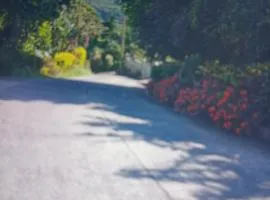 Jolly's Mountain Side Guest House