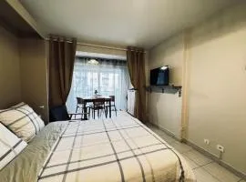 Cozy studio city center