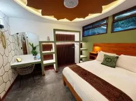 Tree Top Apartment