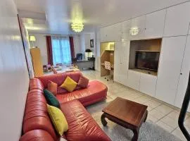 Le Charme de Bazille, Paris, Disney