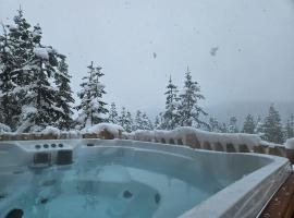 Hot Tub - Sleep 12 - EV Charger J1772 - Forest View - Pet Friendly，位于华盛顿山的酒店