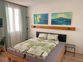 Hotel Bellevue，位于谢尔的酒店