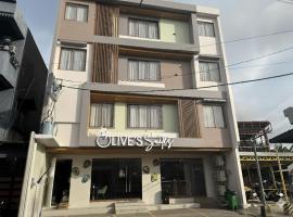 Olive's Suites，位于卡利博的酒店