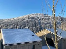 Sauerland Lodge - Haus Maxim