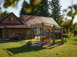 Awesome Home In Stari Brod With Sauna