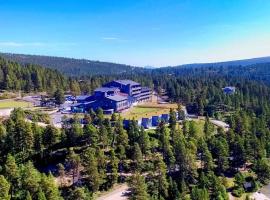 Savalen Fjellhotell & Spa，位于廷瑟的酒店