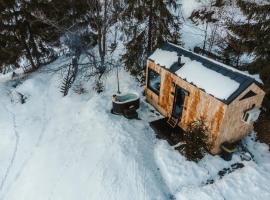 TogetherNest - Cedar，位于Mătişeşti的露营地