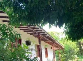 ecopolis birds lodge