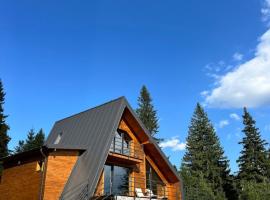Carpathic Chalet，位于Comandău的酒店