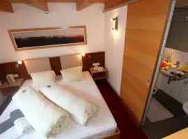 Apartment App- Adlerhorst 402 by Interhome