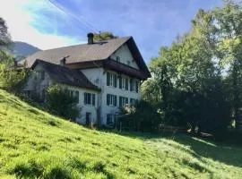 Apartment Hof unterer Dürrenberg - Langenbruck by Interhome