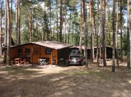 Beach Front Home In Ocypel With Sauna