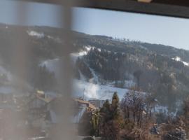 Haus Zirngast，位于斯拉德明的酒店