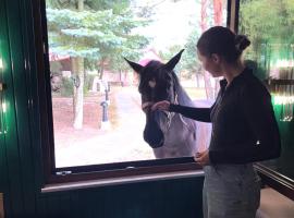 Gajówka Pilica 45A，位于Łęg Ręczyński的酒店