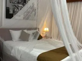 Edwin's Stay