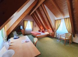 波斯德林根酒店，位于Jungingen的酒店