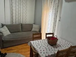 Hosting in the center of Florina