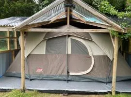 Glamping Mañihueico