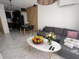 Delux 2 - Plovdiv Модерен апартамент до Стария град и Източната порта