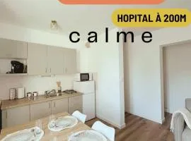 Le Nid de la Mayenne