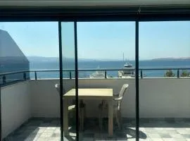 Sevez Homes