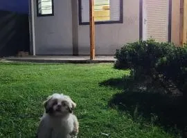 Cantinho do sossego