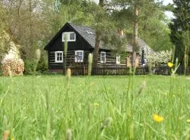 Ferienwohnungen im Försterhof