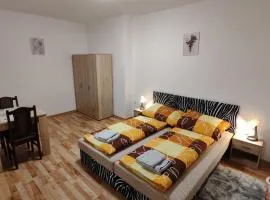 Apartmán V Kraslicích pro 2 osoby, Pohraniční stráže K4