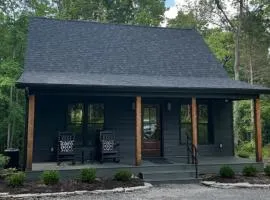 Modern 2BR Cabin w Hot Tub Near Carbondale