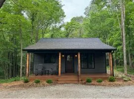 Romantic 1BR Cabin w Hot Tub Near Carbondale