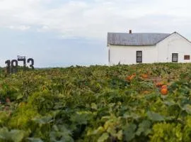 Rendelman Orchard's Farm Stay