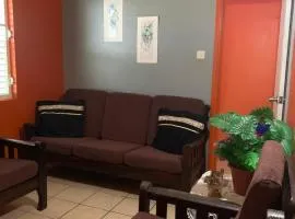Cresantemos Ocean View