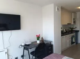 Home Estudio céntrico 5