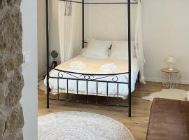 Studio Privatif - Ancienne Maison Vigneronne，位于沙泰勒吉永的酒店