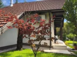 Holiday Cabin near Ljubljana - Hawknest