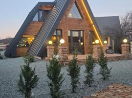 FreeDom Chalet，位于Verneşti的酒店