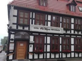 Noclegi pod Muzami，位于波莫瑞地区卡缅的酒店