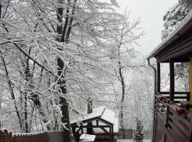 Hegyi-lak vendégház