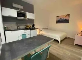 V1 lumineux studio plein centre - 5 min Golfech