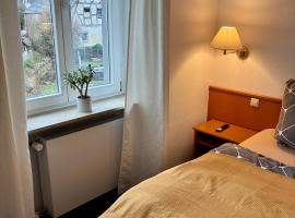 Restaurant Rebea，位于苏尔茨堡的酒店